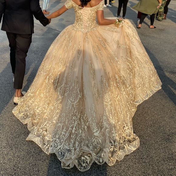 Prom Gown, Quinceañera Gown, Wedding Gown, Cosplay Gown or Ball Gown - Picture 14 of 14